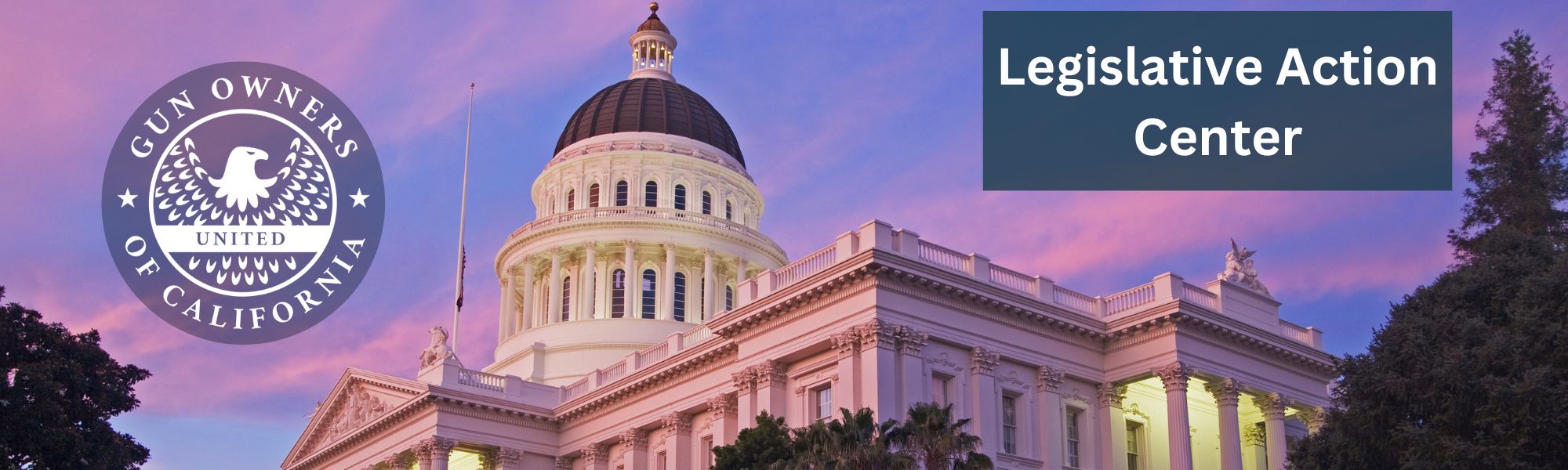 Legislative Action Center Unlock your Voice to fight anti 2A legislation